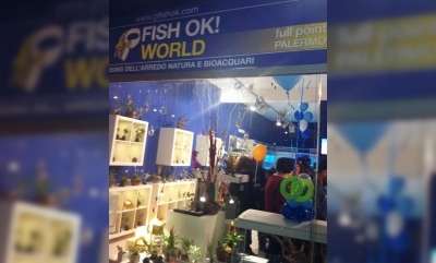 Fish Ok! Palermo