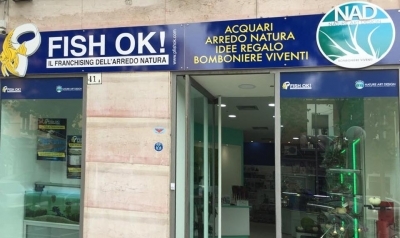 Fish Ok! Foggia