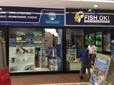 Fish Ok! Jesi